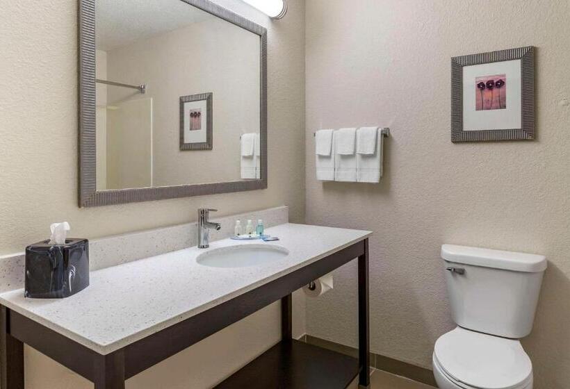 Люкс Кровать Кинг, Quality Inn & Suites