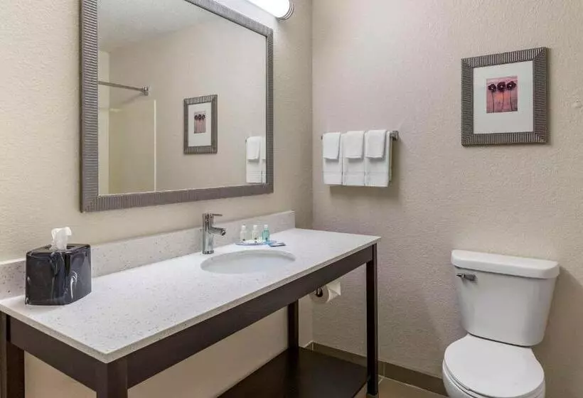 キングサイズベッドのスイートルーム, Quality Inn & Suites