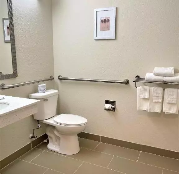 身障者適用キングサイズベッドルーム, Quality Inn & Suites