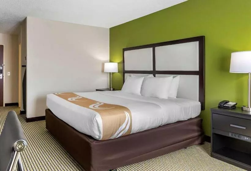 身障者適用キングサイズベッドルーム, Quality Inn & Suites