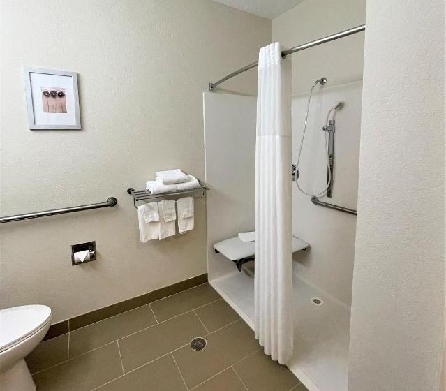 Номер Стандарт Кровать Кинг Адаптированный для Инвалидов, Quality Inn & Suites