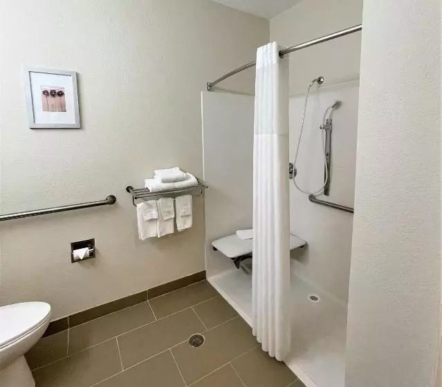 身障者適用キングサイズベッドルーム, Quality Inn & Suites