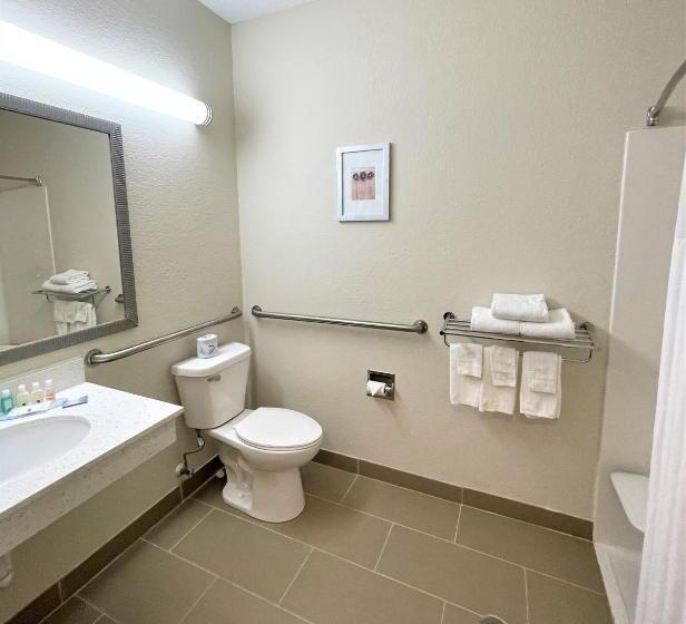 غرفة قياسية سرير كينج لذوى الإحتياجات الخاصة, Quality Inn & Suites