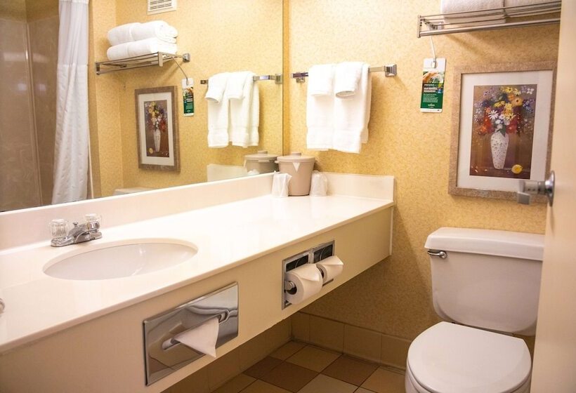 Номер бизнес-класса, Wingate By Wyndham Sioux City