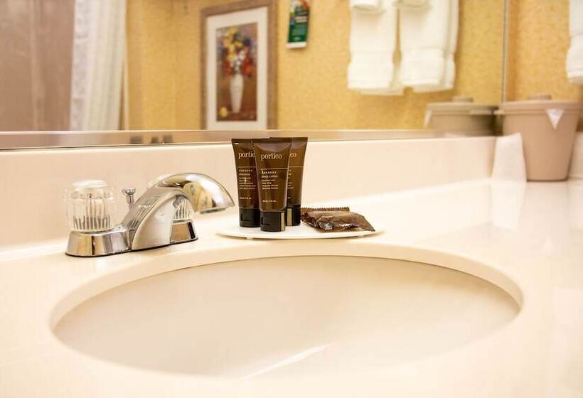 商务房间, Wingate By Wyndham Sioux City