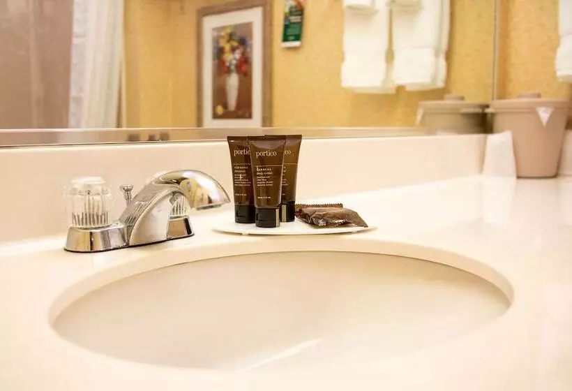 ビジネスルーム, Wingate By Wyndham Sioux City