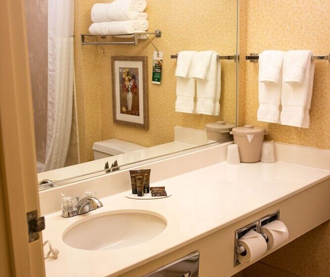 商务房间, Wingate By Wyndham Sioux City