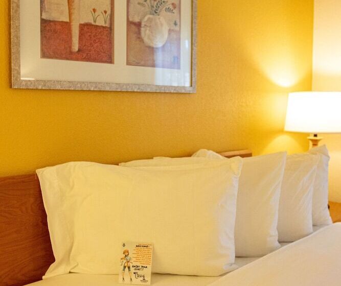 商务房间, Wingate By Wyndham Sioux City