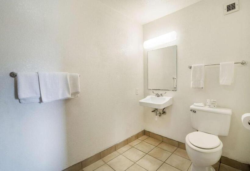 四人标准间, Motel 6 Augusta, Ga