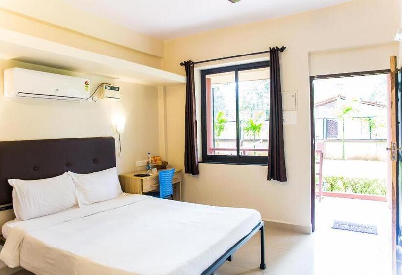 Standaard Studio, Lazy Frog Guest House