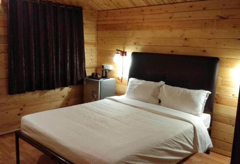 Standardrum, Lazy Frog Guest House