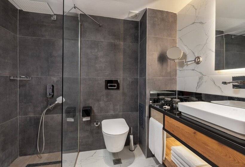 اتاق لوکس, Afflon Hotels Loft City