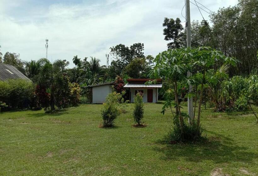 Номер Стандарт, Cha Bungalow