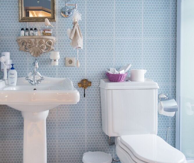 סוויטת ג'וניור, Grand Sova