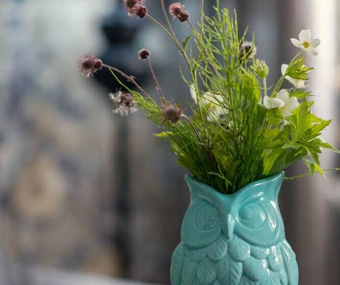 סוויטה, Grand Sova