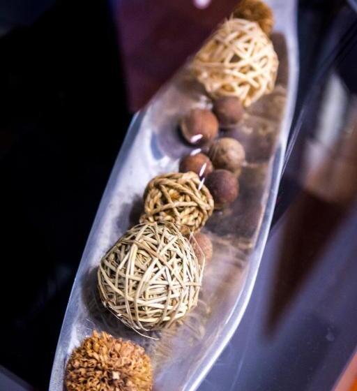 Apartamento 1 Quarto com Terraço, Apartments And Rooms With Wifi Split   16550