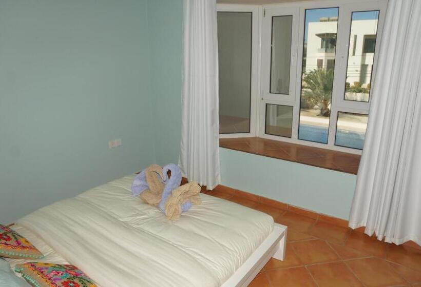 اتاق اکونومی, Behlys Boutique