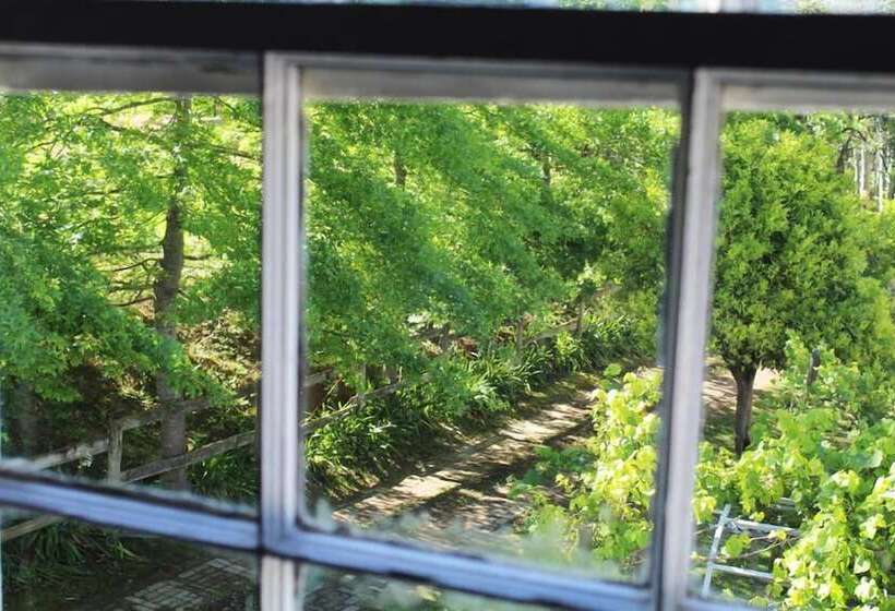 带双人床的经典房间, Moffid's Place