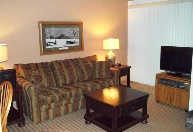 شقة غرفة واحدة, Fox Run Association