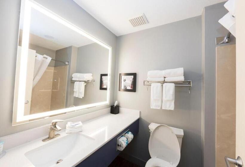 מיטת קינג בסוויטה, Americinn By Wyndham Duluth