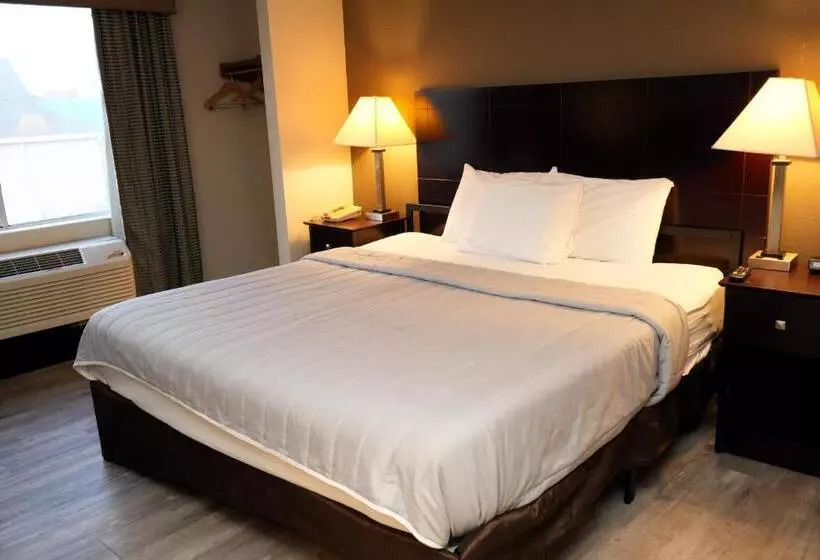 Standard-huone King-vuode, Copley Inn & Suites, Copley Akron