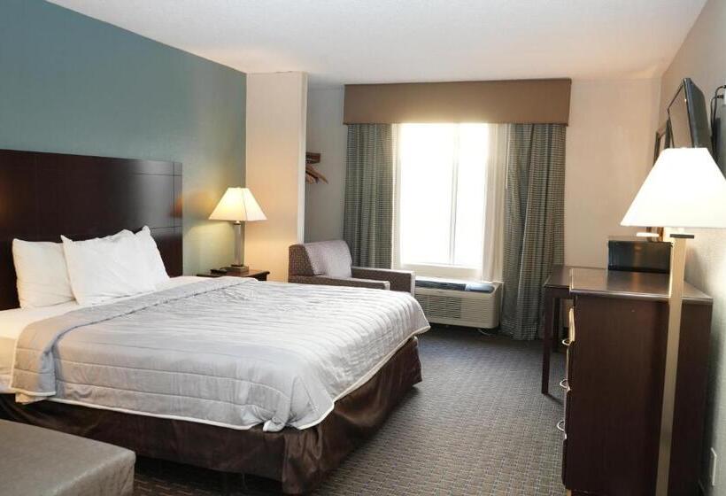 غرفه قياسيه سريرين مزدوجين, Copley Inn & Suites, Copley   Akron