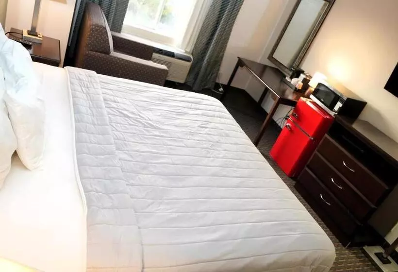 Sviitti King-vuode, Copley Inn & Suites, Copley Akron