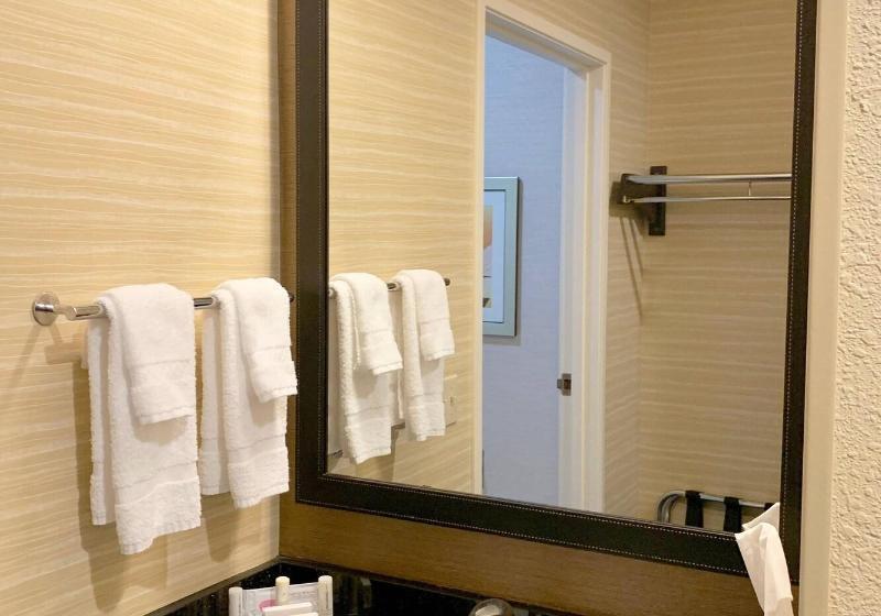 غرفة قياسية سرير كينج, Fairfield Inn & Suites By Marriott Denver Tech Center/ South