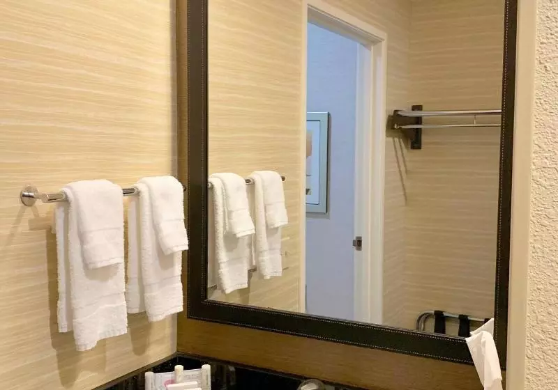 キングサイズベッドのスタンダードルーム, Fairfield Inn & Suites By Marriott Denver Tech Center/ South
