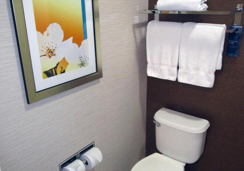 غرفة قياسية سرير كينج, Fairfield Inn & Suites By Marriott Denver Tech Center/ South