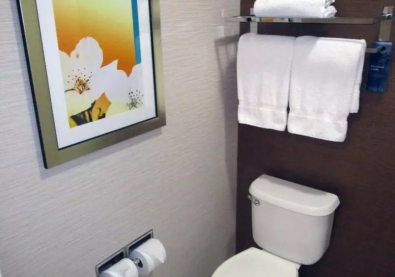 キングサイズベッドのスタンダードルーム, Fairfield Inn & Suites By Marriott Denver Tech Center/ South