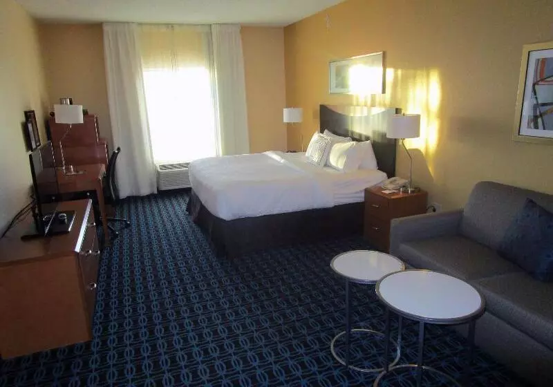 キングサイズベッドのスタンダードルーム, Fairfield Inn & Suites By Marriott Denver Tech Center/ South