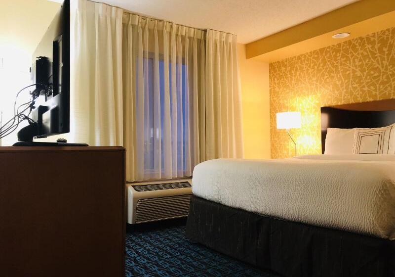 جناح سرير كينج, Fairfield Inn & Suites By Marriott Denver Tech Center/ South