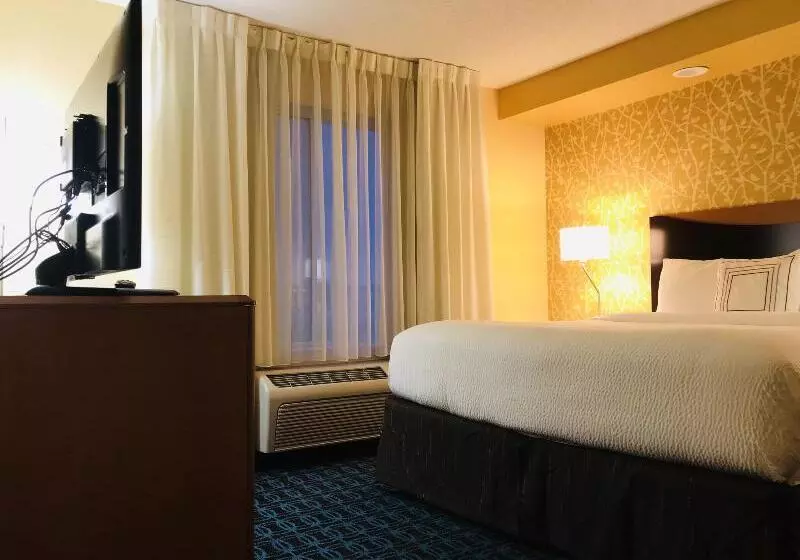 キングサイズベッドのスイートルーム, Fairfield Inn & Suites By Marriott Denver Tech Center/ South