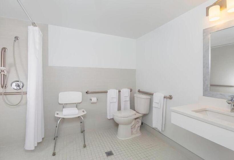 اتاق دلوکس با تخت کینگ و چشم‌انداز شهر, Four Points By Sheraton Chicago O Hare