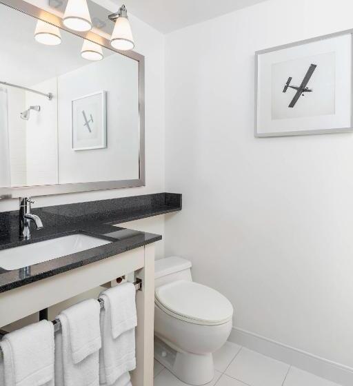 اتاق دلوکس با تخت کینگ و چشم‌انداز شهر, Four Points By Sheraton Chicago O Hare