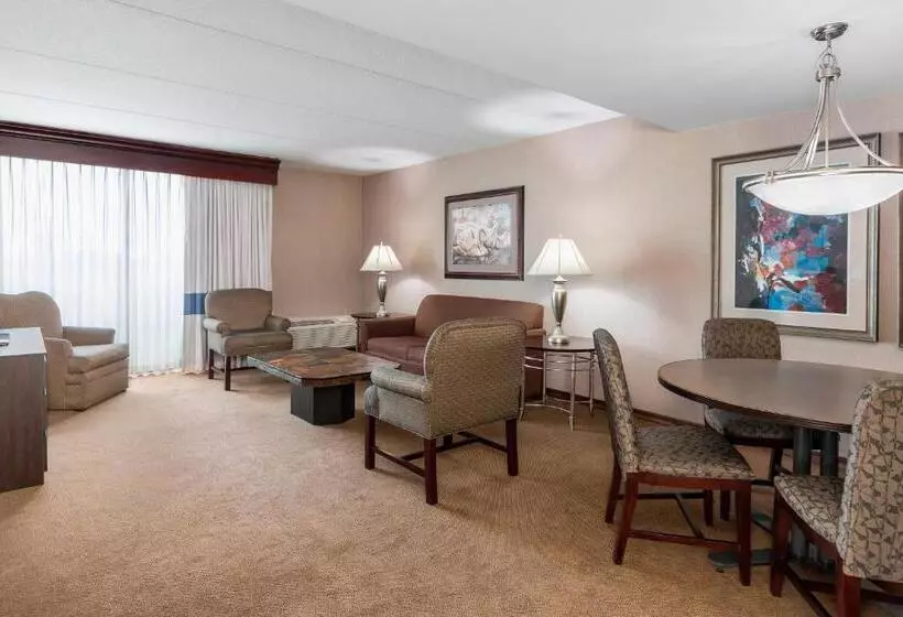 キングサイズベッド、シティビューデラックスルーム, Four Points By Sheraton Chicago O Hare