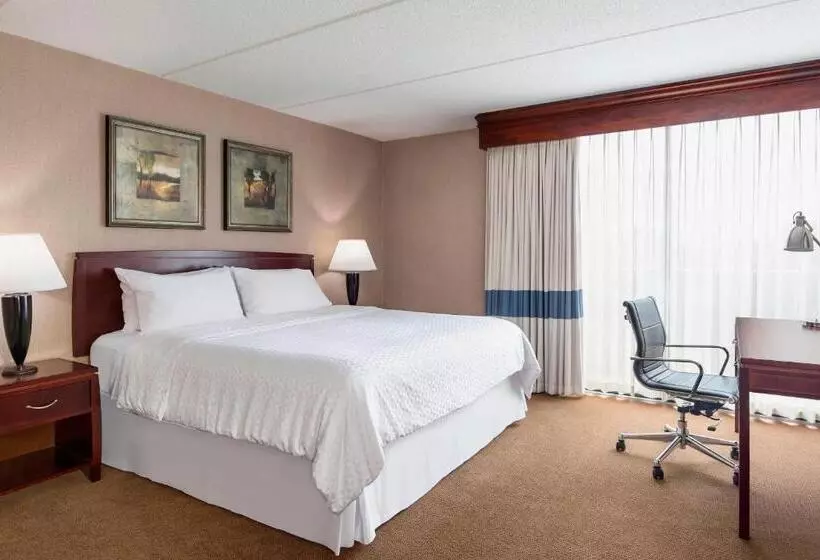 キングサイズベッド、シティビューデラックスルーム, Four Points By Sheraton Chicago O Hare