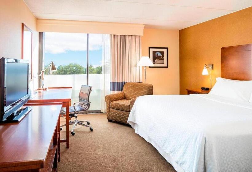 اتاق دلوکس با تخت کینگ و چشم‌انداز شهر, Four Points By Sheraton Chicago O Hare