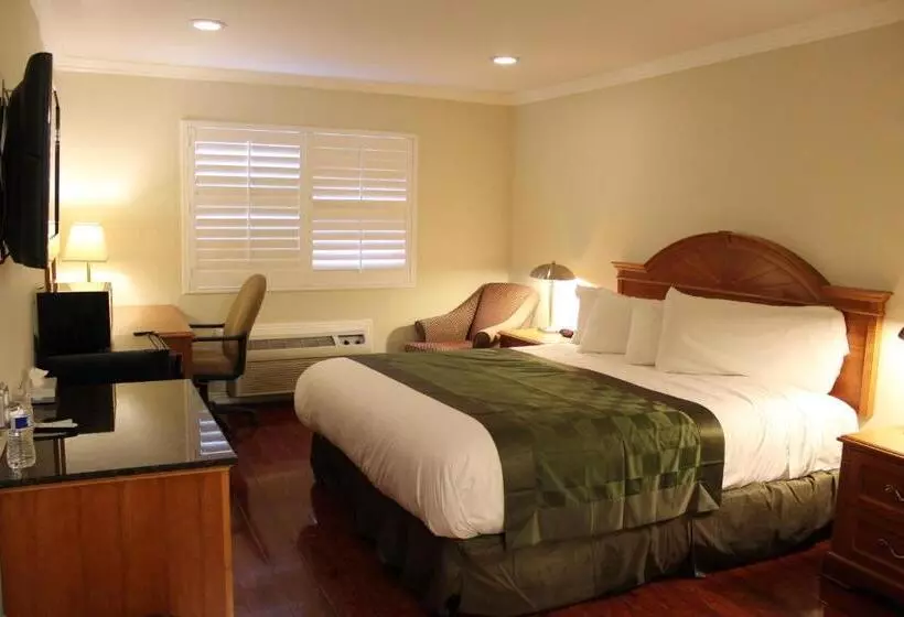 اتاق استاندارد با تخت بزرگ, Garden Inn