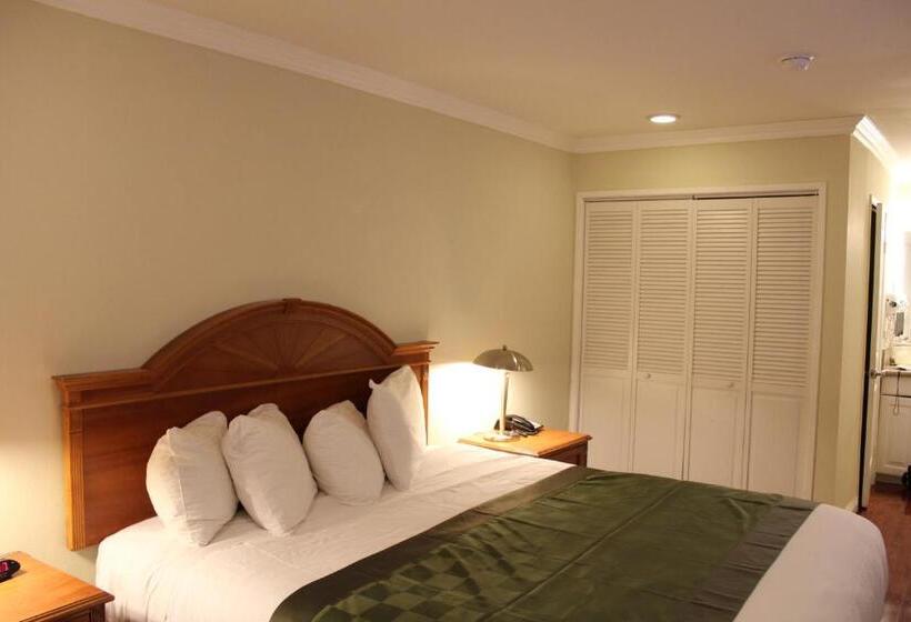 غرفة قياسية سرير كينج, Garden Inn