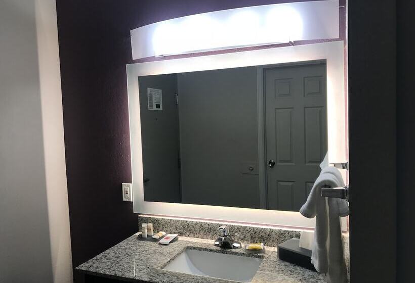 キングサイズベッドのスタンダードルーム, La Quinta Inn & Suites By Wyndham Fort Collins, Colorado