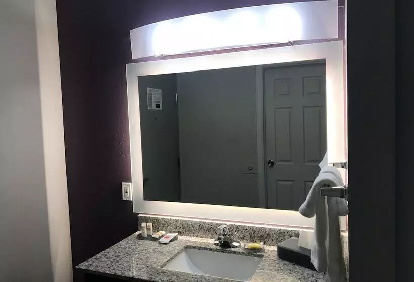 اتاق استاندارد با تخت بزرگ, La Quinta Inn & Suites By Wyndham Fort Collins, Colorado