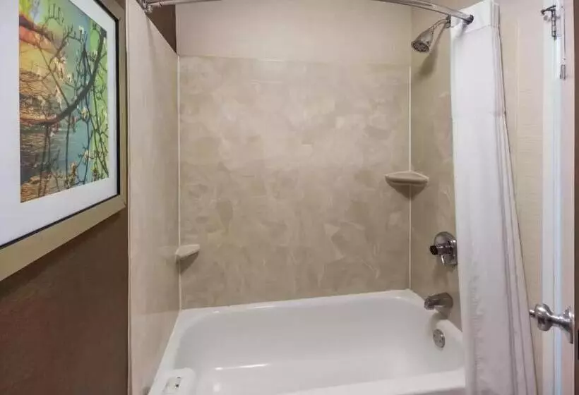 اتاق استاندارد با تخت بزرگ, Quality Inn & Suites Bozeman