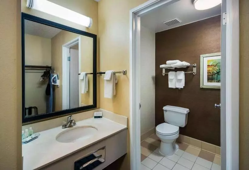 اتاق استاندارد با تخت بزرگ, Quality Inn & Suites Bozeman