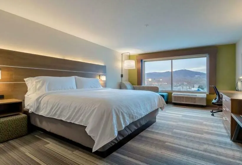 シングルデラックスルーム, Holiday Inn Express & Suites Marion, An Ihg