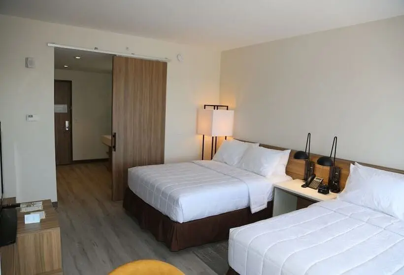 ２ダブルベッドのスタンダードルーム, Wyndham Garden North Bergen   Secaucus