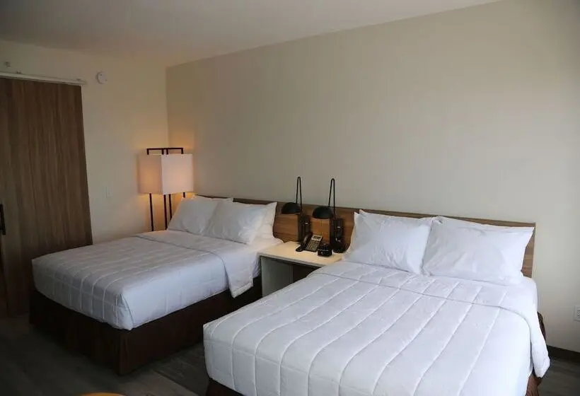 ２ダブルベッドのスタンダードルーム, Wyndham Garden North Bergen   Secaucus