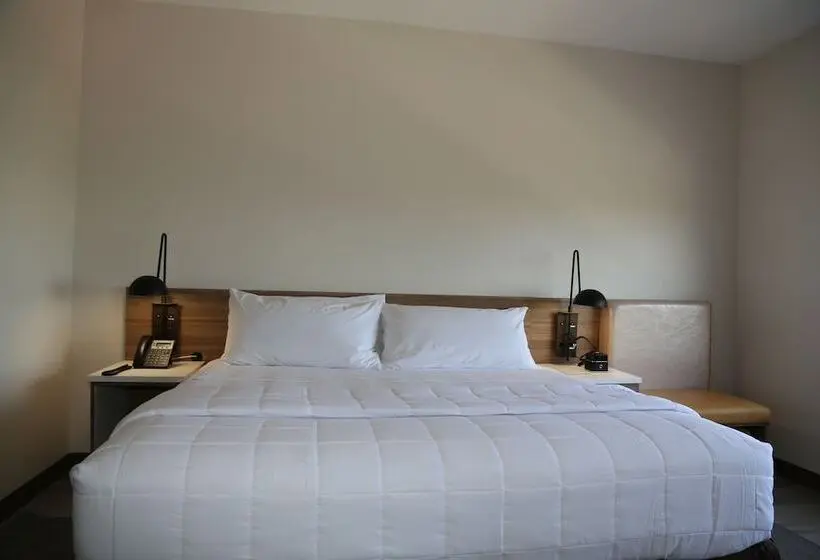 デラックスルーム, Wyndham Garden North Bergen   Secaucus