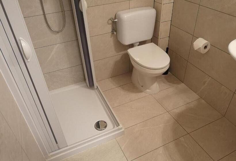 غرفة أساسية فردية, Elvezia Self Check In